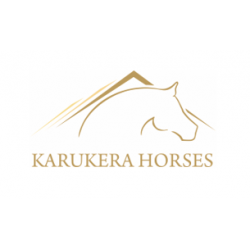 Karukera Horses