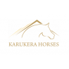 Karukera Horses