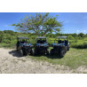 Quad Buggy Guadeloupe