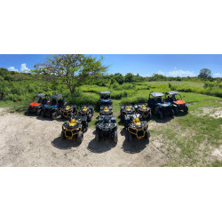 Quad Buggy Guadeloupe