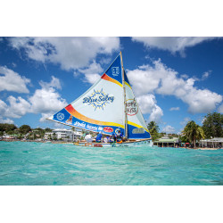 Blue Soley - Voile traditionnelle